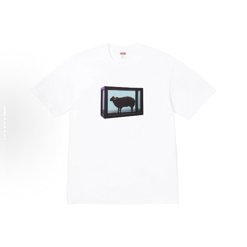 Supreme Damien Hirst White Tee